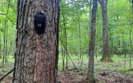 Hunting Timber Paradise Amite County MS