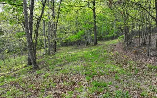 18 Acres Bordering National Forest in Bath County