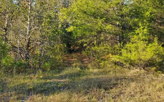 Investment opportunity hunting fishing building mature timber