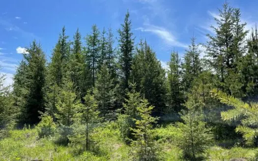 Mountain Escape for Sale in North Central Idaho