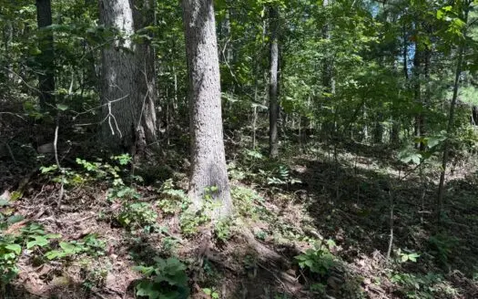 Stunning Views, Multiple Tracts, Endless Recreational Potential
