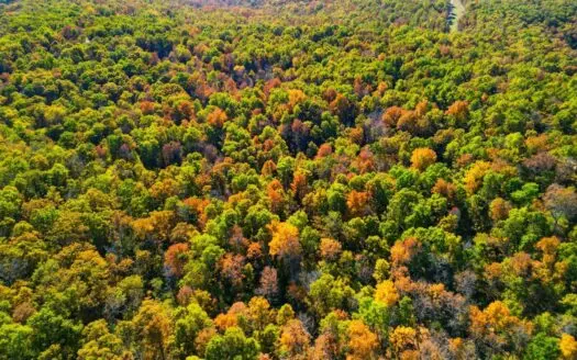 50 Acres Near Norfork Lake with Timber & Hunting in Hardenville