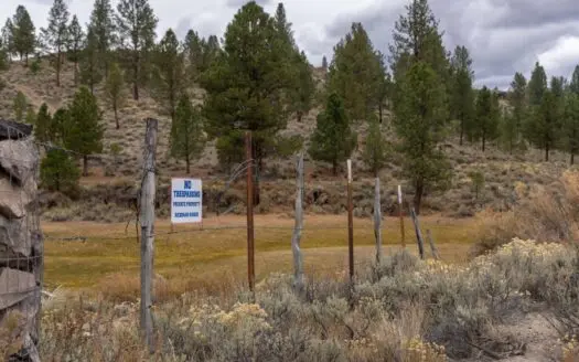 Eastern Oregon Cricket Creek Acres
