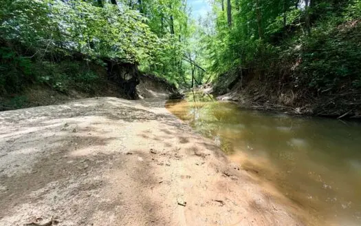 Large Acreage Farming Hunting For Sale Prentiss Co., MS