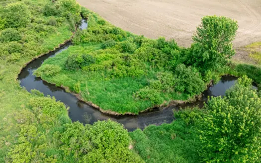 Online Auction 125± Acres of Farmland, Recreation & Investment