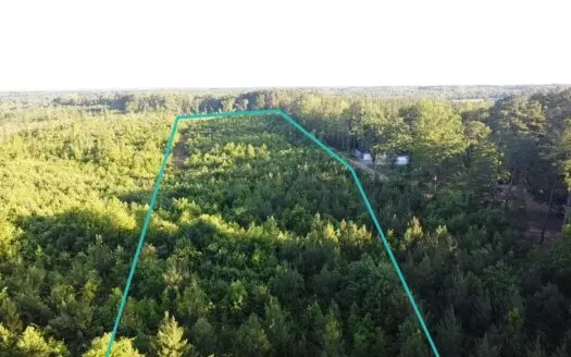 Charlotte County Comfort: 10.51 Wooded Acres