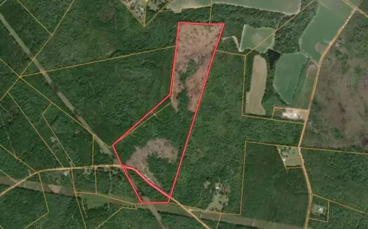 90+/- Acres for Sale in Effingham County, GA