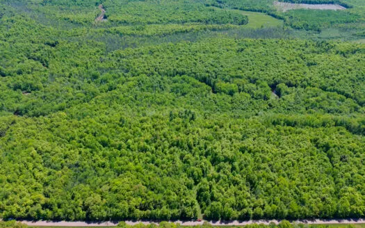 40 Acres for Sale in Gurney, WI