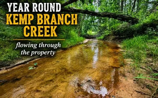 Hunting Land For Sale in Rienzi, Alcorn County, Mississippi