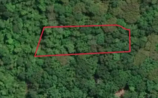Creekside Camp: Build, Hunt & Relax Near Clarksville, VA
