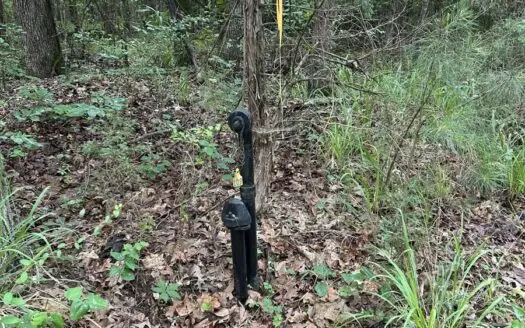 21.85 Acre Northeast Texas Recreational Property For Sale