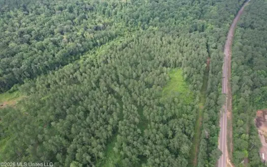 155 Acres Hunting Land for Sale in Centreville, MS