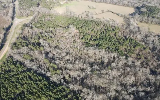 Hazlehurst MS Hunting Land for Sale