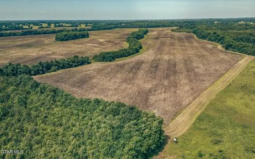 527 Acres Black Belt Prairie Clay County MS