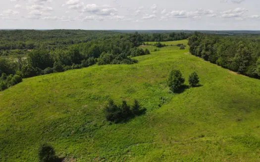 Land For Sale In Tn, Deer & Duck Hunting, Fenced Pasture
