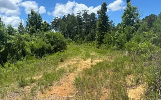 Wilkinson County MS Hunting Land for Sale