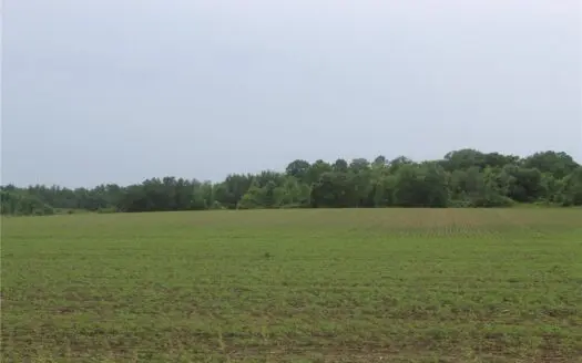 34 Acres of High-Quality, Fully Tillable Farmland in Ogilvie