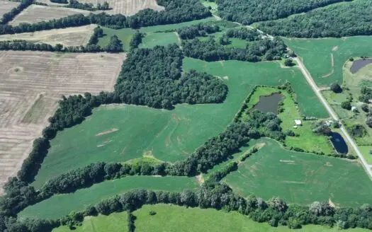 West TN Mixed-Use Farm for Sale – Pond, Barn, Lots of Wildlife