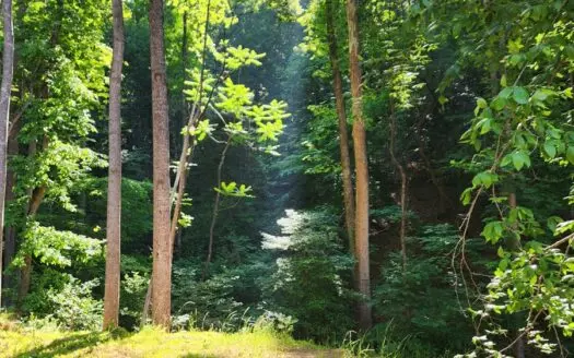 Land For Sale in Taylorsville, NC