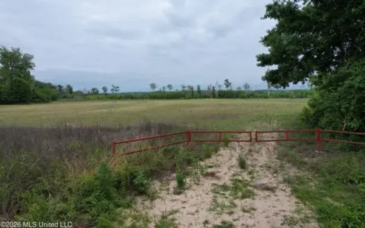 88 Acre Hunting Property – Wilkinson County, MS