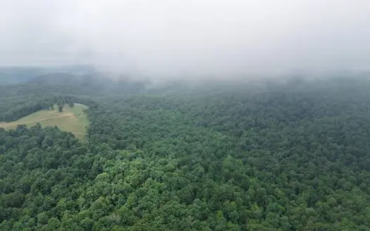 Hunting Land For Sale In North Central Arkansas
