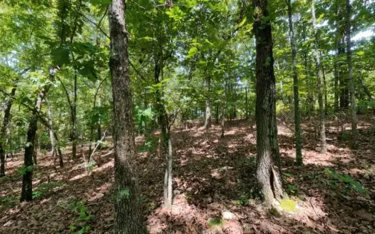 Hunting Land For Sale Near the Spring River | Mammoth Spring, AR