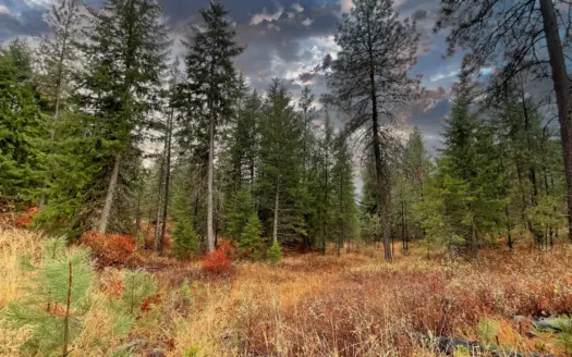 1200 Ac ~ 4 contiguous Parcels in Stevens County, WA just Minutes from Long Lake