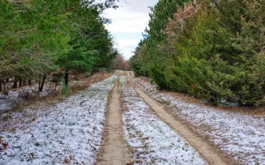 1565 Hwy 71 – Sparta, Wisconsin | 286± Acres | Monroe County
