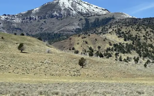 159.84± Acres of Rolling Hill Ranch and Recreation Land in CA