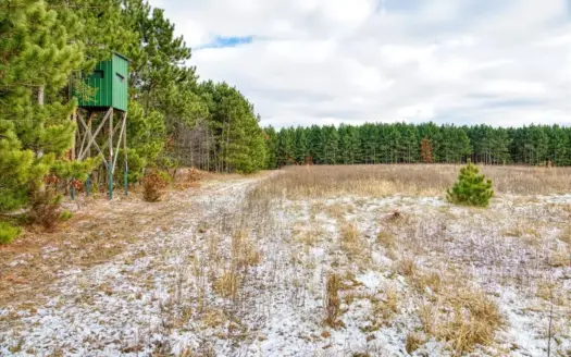 160± acre Monroe County property Located off dead end road,