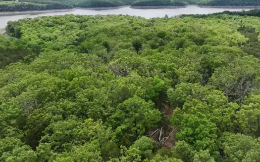 2 Secluded Lots on Bull Shoals Lake Peninsula in Subdivision