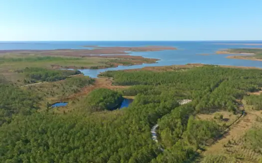 200-Acre Hunting & Waterfront Tract in Hyde County, NC