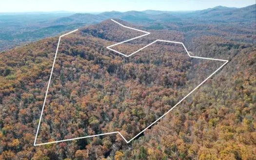 221-Acre Mountain Retreat near Faber, VA – Views & Timber!