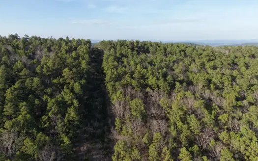 30 Acre Hunting Property FOR SALE | Water Tower Road