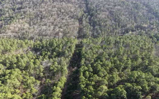 30 Acre Hunting Property FOR SALE | Water Tower Road