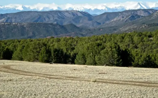 38 Acres Bordering Blm With Well & Yurt Canon City Colorado