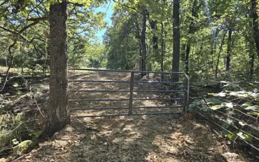 40 Acre Recreational Property – For Sale