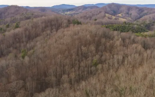 40+/- Secluded Acres Near the New River Lansing/West Jefferson