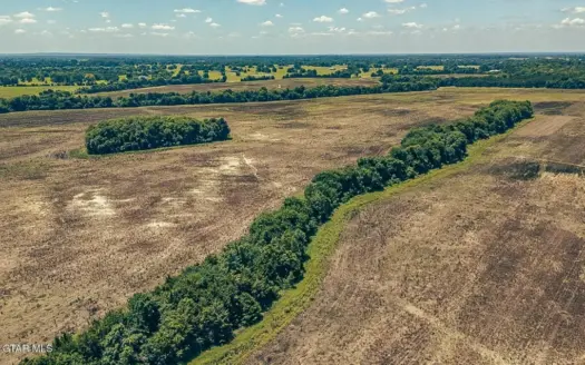 527 Acres Black Belt Prairie Clay County MS