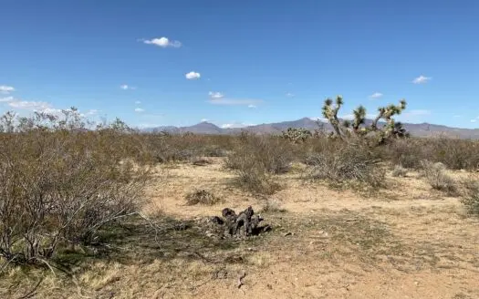 Land in NW Arizona, backs to State Trust and Mineral Rights