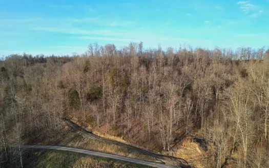 75.15+/- Acres – Hunting Land – Mostly Wooded – Liberty, KY.