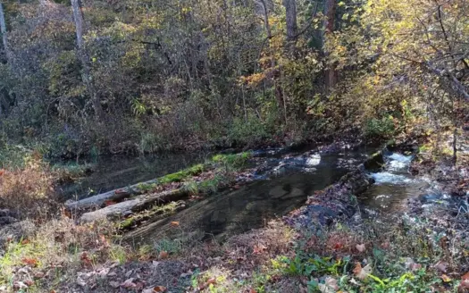 78.26 Vacant Acreage with Well and Spring Hawkins County, TN