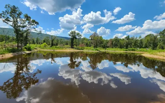80 Acre Kiamichi Mountain Homestead Property – FOR SALE