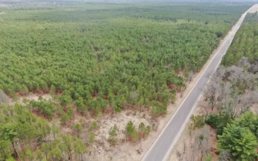 80± acre timber tract in the heart of northern Adams County