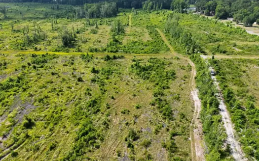 88 acre parcel on Hunter’s Chapel Rd outside Bamberg, SC