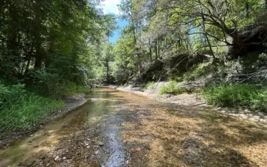 8± Acres in McCall Creek, MS with Creek Frontage