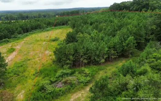 9.41± Acres for Sale in Coffee County, Alabama