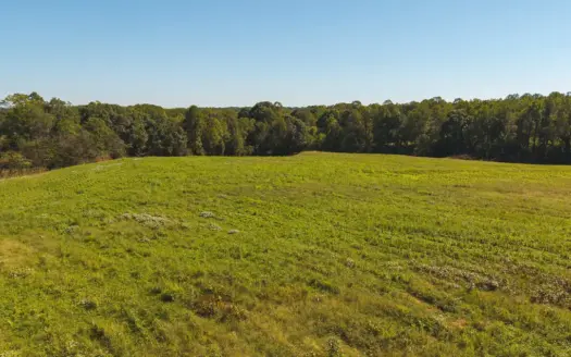 Acreage for sale Yadkin County NC/Land for sale Hamptonville NC!