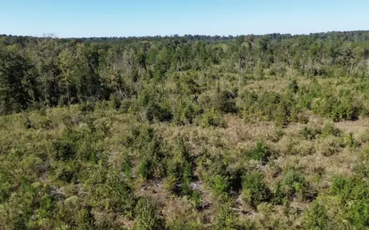 Affordable Lincoln Parish Land for Sale – Tract 2