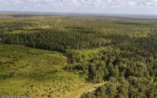 Big Woods Neighborhood Land for Sale Hattiesburg MS
